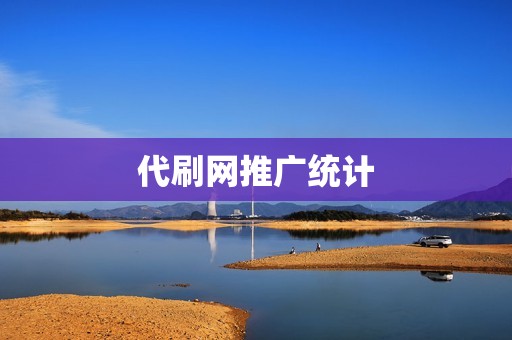 代刷网推广统计