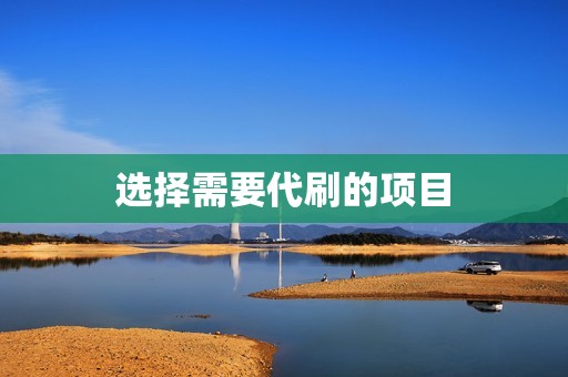 选择需要代刷的项目