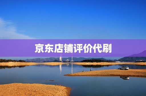 京东店铺评价代刷