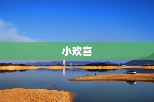 小欢喜