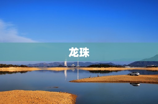 龙珠