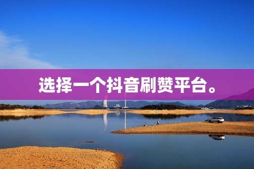 选择一个抖音刷赞平台。