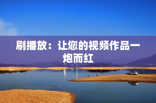 刷播放：让您的视频作品一炮而红