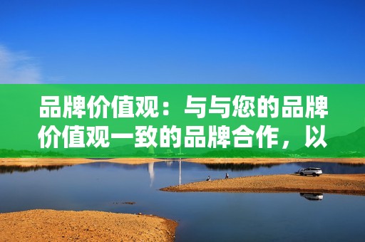 品牌价值观：与与您的品牌价值观一致的品牌合作，以确保合作真实且可信。