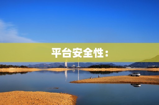 平台安全性：