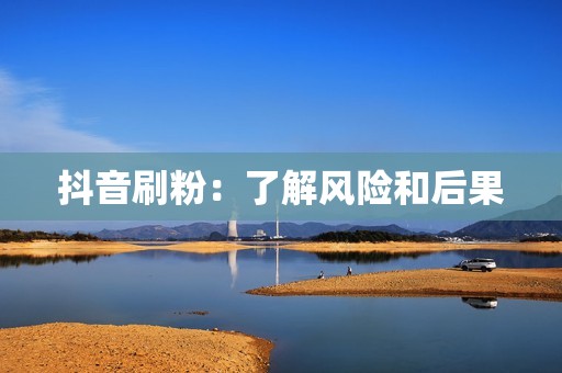 抖音刷粉：了解风险和后果