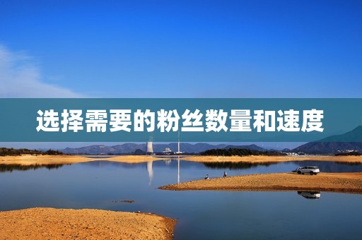 选择需要的粉丝数量和速度