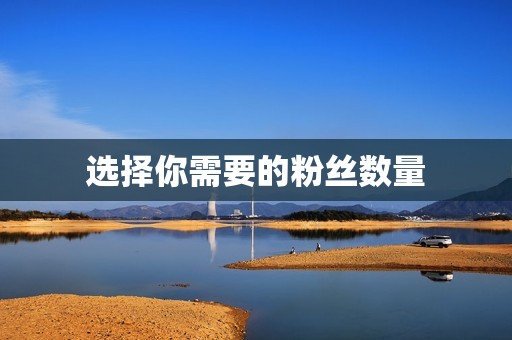 选择你需要的粉丝数量 选择你需要的粉丝数量