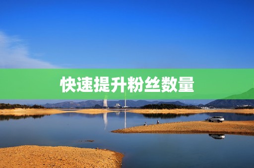 快速提升粉丝数量