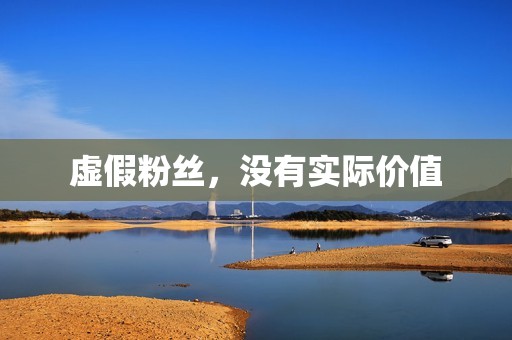 虚假粉丝，没有实际价值