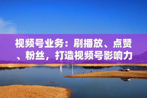 视频号业务：刷播放、点赞、粉丝，打造视频号影响力