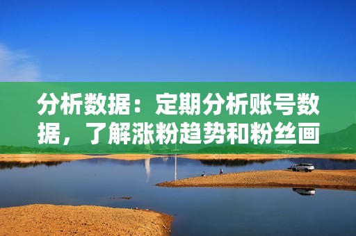 分析数据：定期分析账号数据，了解涨粉趋势和粉丝画像，优化运营策略。