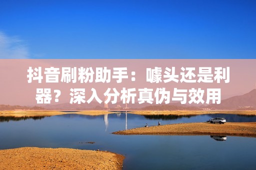 抖音刷粉助手：噱头还是利器？深入分析真伪与效用