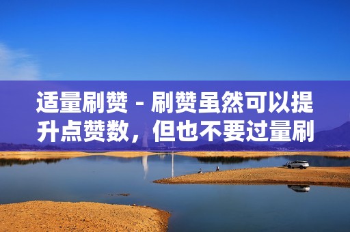 适量刷赞 - 刷赞虽然可以提升点赞数，但也不要过量刷赞，以免引起平台怀疑，从而被