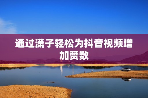 通过潇子轻松为抖音视频增加赞数