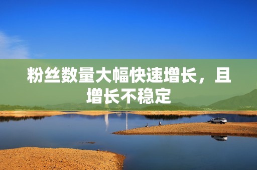 粉丝数量大幅快速增长,且增长不稳定 粉丝数量大幅快速增长,且增长不稳定