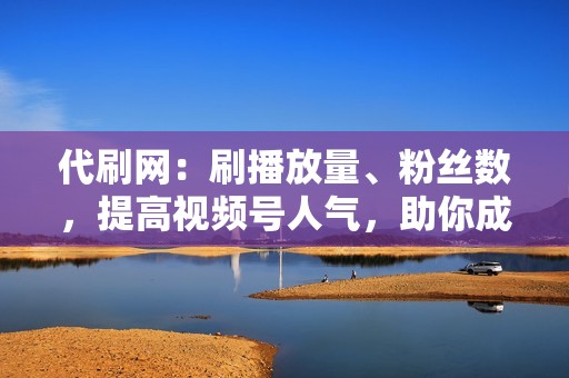 代刷网：刷播放量、粉丝数，提高视频号人气，助你成为视频号大咖！
