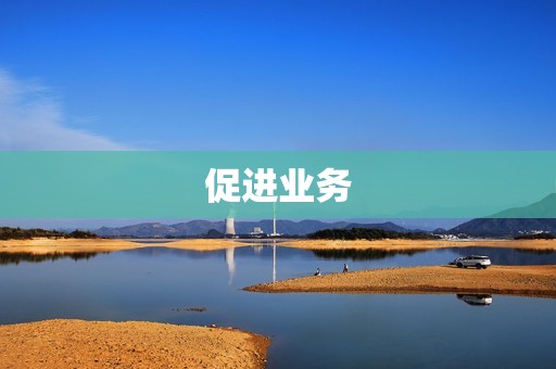 促进业务