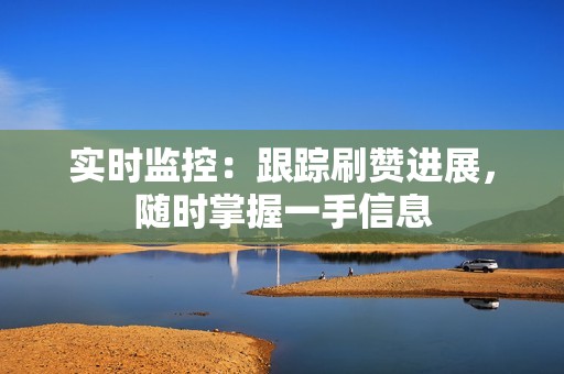 实时监控：跟踪刷赞进展，随时掌握一手信息