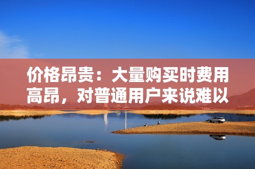 价格昂贵：大量购买时费用高昂，对普通用户来说难以承担。