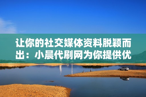 让你的社交媒体资料脱颖而出：小晨代刷网为你提供优质互动
