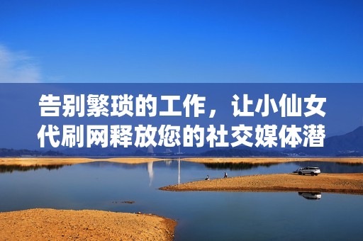 告别繁琐的工作，让小仙女代刷网释放您的社交媒体潜力