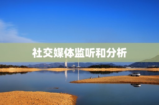 社交媒体监听和分析