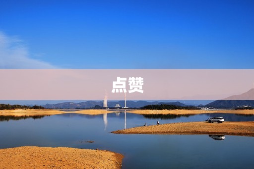 点赞