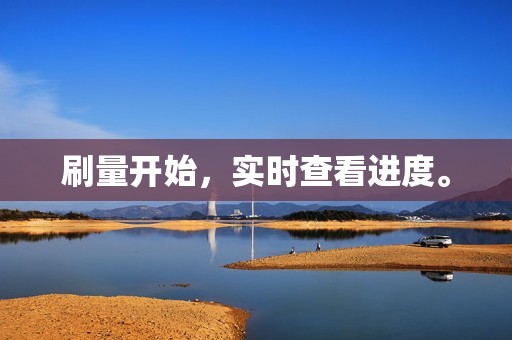 刷量开始,实时查看进度。 刷量开始,实时查看进度。