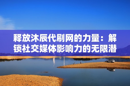 释放沐辰代刷网的力量：解锁社交媒体影响力的无限潜力