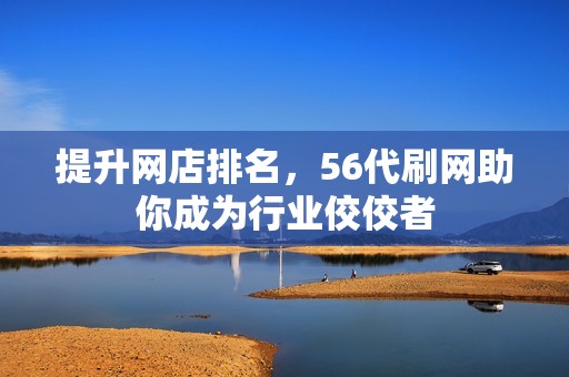 提升网店排名,56代刷网助你成为行业佼佼者 提升网店排名,56代刷网助你成为行业佼佼者
