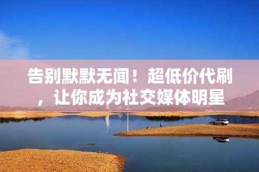 告别默默无闻！超低价代刷，让你成为社交媒体明星