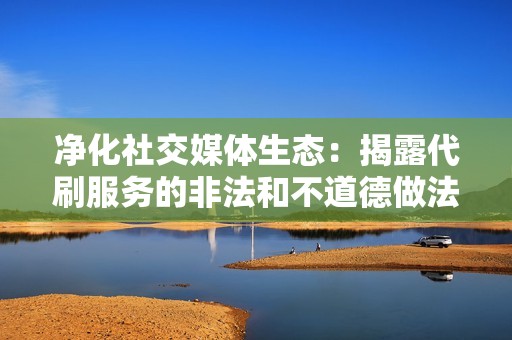 净化社交媒体生态：揭露代刷服务的非法和不道德做法