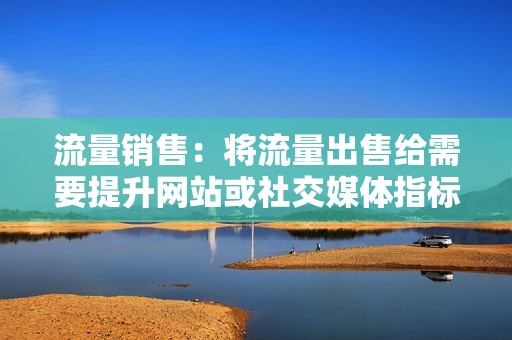 流量销售：将流量出售给需要提升网站或社交媒体指标的客户。
