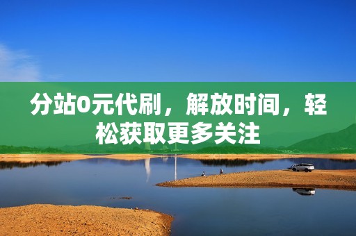 分站0元代刷，解放时间，轻松获取更多关注