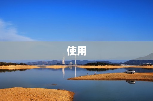 使用