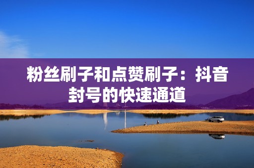 粉丝刷子和点赞刷子:抖音封号的快速通道 粉丝刷子和点赞刷子:抖音封号的快速通道