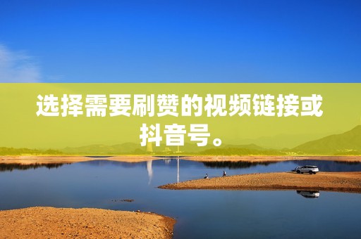 选择需要刷赞的视频链接或抖音号。