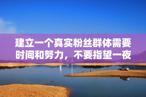 建立一个真实粉丝群体需要时间和努力,不要指望一夜暴富。 建立一个真实粉丝群体需要时间和努力,不要指望一夜暴富。