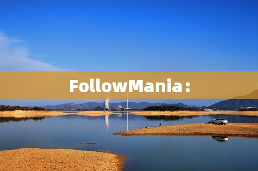 FollowMania：
