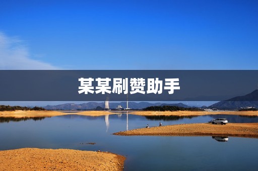 某某刷赞助手