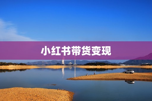小红书带货变现