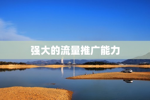 强大的流量推广能力 强大的流量推广能力