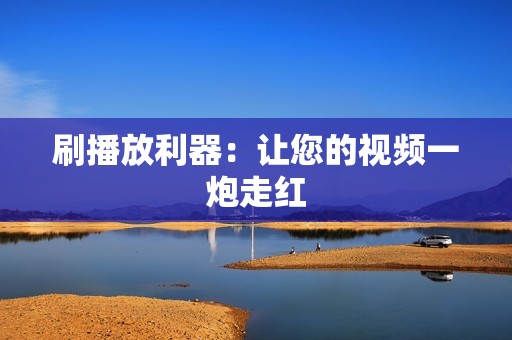 刷播放利器：让您的视频一炮走红