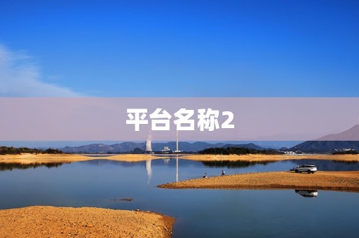 平台名称2
