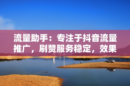 流量助手：专注于抖音流量推广，刷赞服务稳定，效果显著。