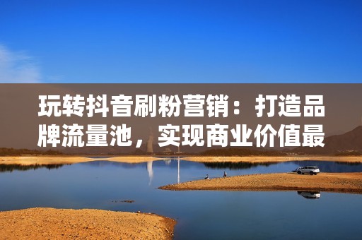 玩转抖音刷粉营销：打造品牌流量池，实现商业价值最大化