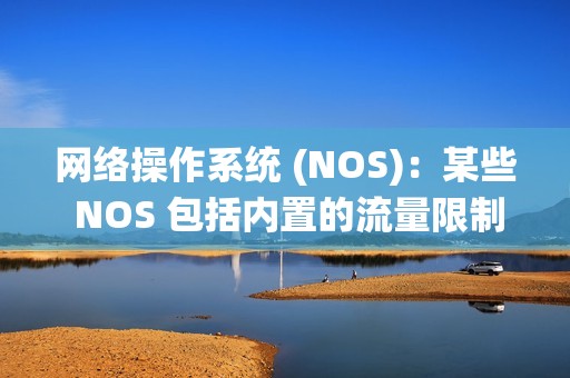 网络操作系统 (NOS):某些 NOS 包括内置的流量限制功能。 网络操作系统 (NOS):某些 NOS 包括内置的流量限制功能。