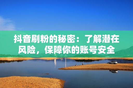 抖音刷粉的秘密：了解潜在风险，保障你的账号安全