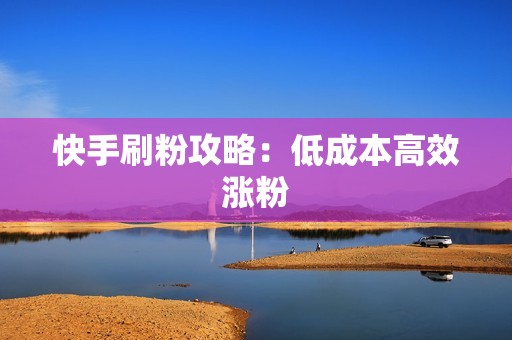 快手刷粉攻略：低成本高效涨粉